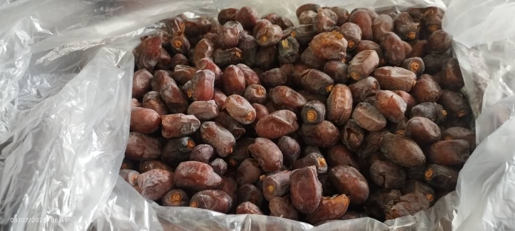 تصویر 3 از خرما کلوته درجه یک مخصوص صادرات به عراق، هند و امارات