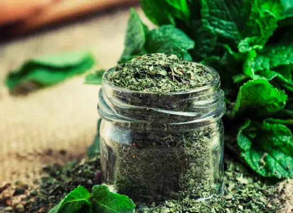 تصویر 2 از قیمت نعنا خشک خانگی + خرید عمده
