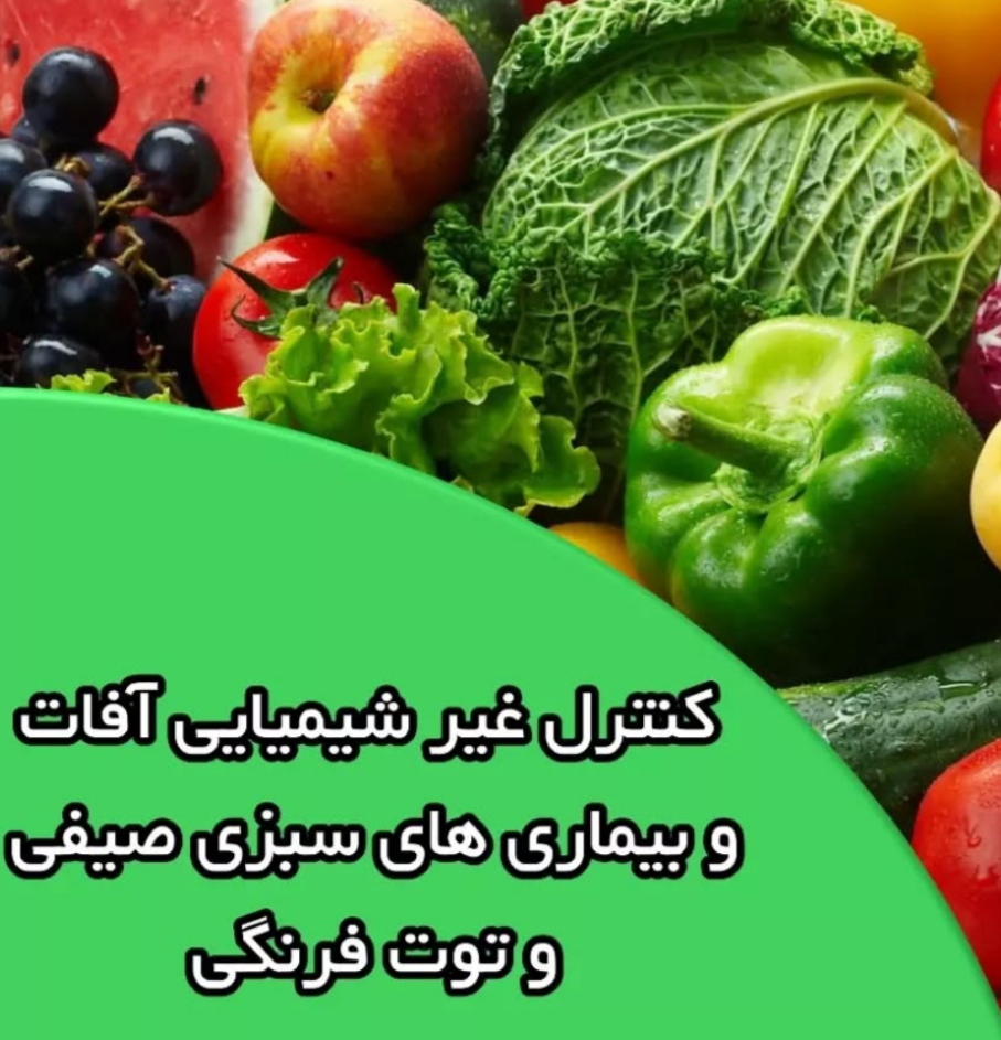 تصویر 1 از ژل شستشوی گیاهان