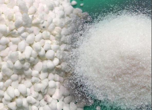 کود سولفات آمونیوم برای گوجه افزایش مقاومت گیاهان به تنش