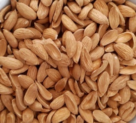 تصویر 5 از قیمت مغز بادام مامایی مینی + فروش ویژه