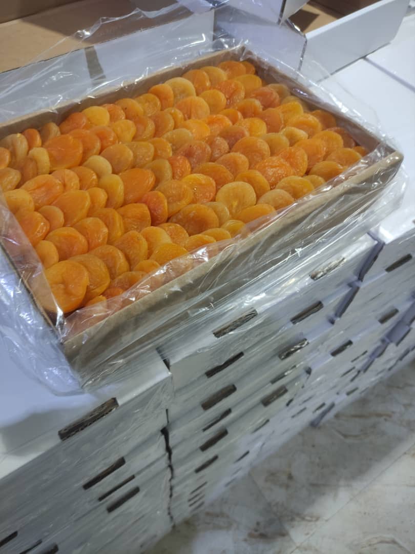قیسی تیزابی