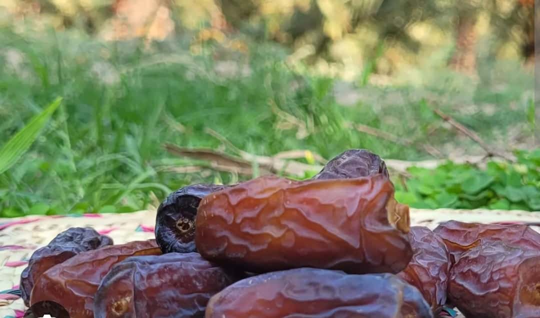 تصویر 1 از خرما پیارم درجه یک قیمت فوق العاده