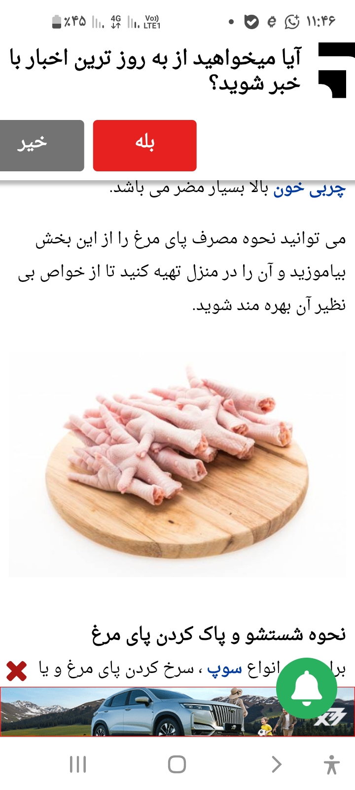 تصویر 1 از بهترین قیمت پای مرغ صادراتی