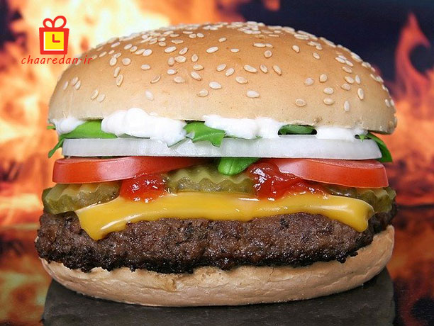 تصویر 3 از قیمت همبرگر ممتاز ۹۵% گوشت ۲ عددی