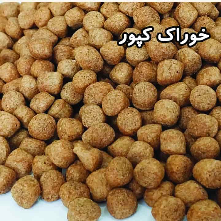 تصویر 1 از خرید خوراک ماهی کپور