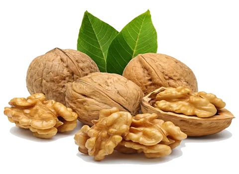 گردو پوست کاغذی قیمت