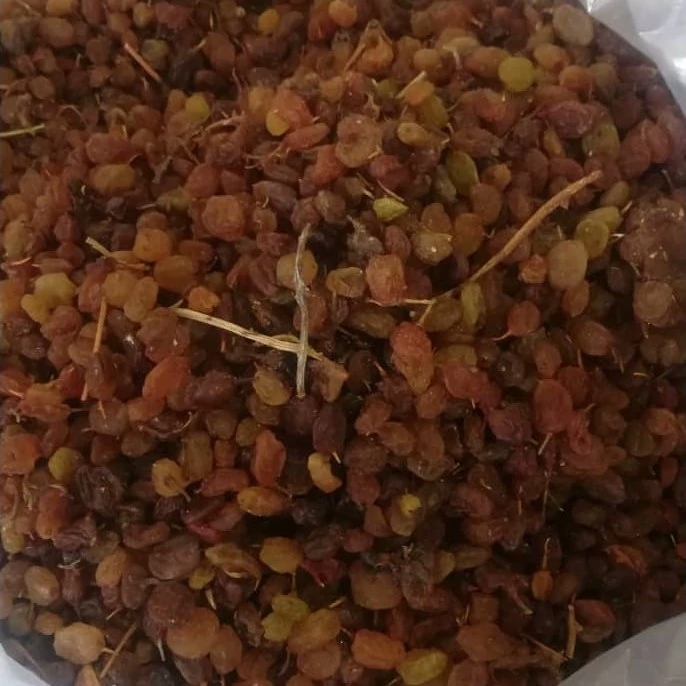 خرید عمده کشمش  آبگیری  بناب آذربایجان + خرید ارزان