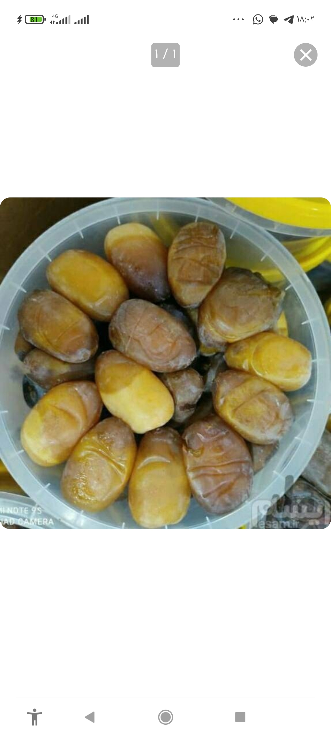 تصویر 1 از رطب کبکاب