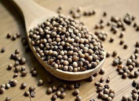 تصویر 1 از خرید بدونه واسطه بذر گشنیز خوشبو