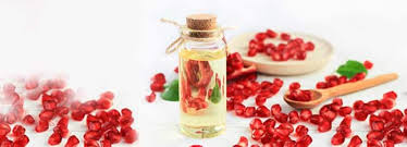 خرید عصاره انار + خواص و کاربرد آن