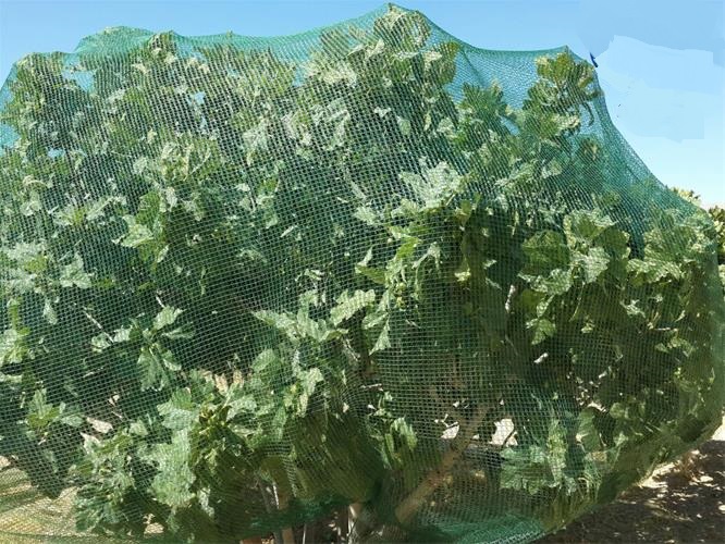 تصویر 1 از توری ضد پرنده خرید