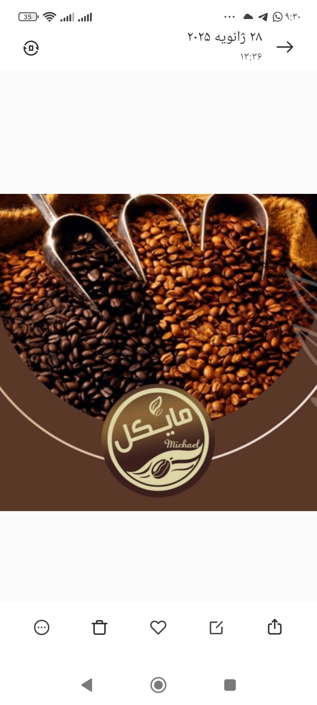 تصویر 2 از قهوه بمب انرژی مایکل با قیمت عمده