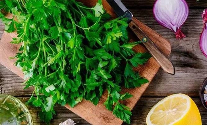 سبزی آش کازرون + قیمت ارزان