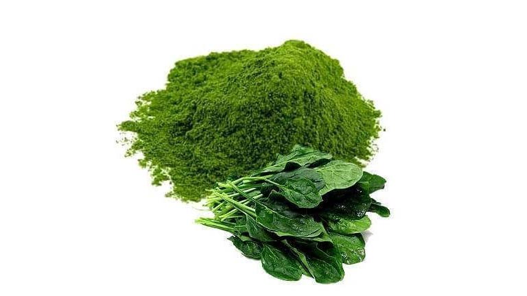 خرید عمده اسفناج فارس