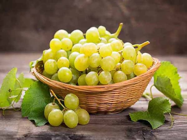 تصویر 4 از قیمت ویژه انگور فخری + خرید ارزان