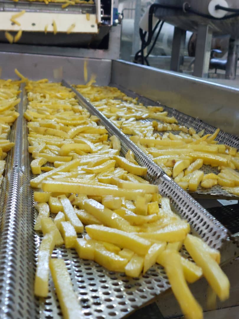 خرید فرنج فرایز