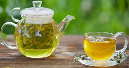 تصویر 2 از خرید به‌لیمو؛ گیاهی با عطر آرامش در فنجان سلامتی