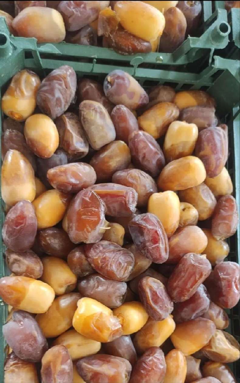 تصویر 1 از فروش خرما رطب کبکاب با قیمت باور نکردنی