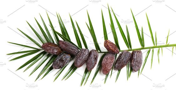تصویر 5 از قیمت خرمای پیارم حاجی آباد + فروش ویژه