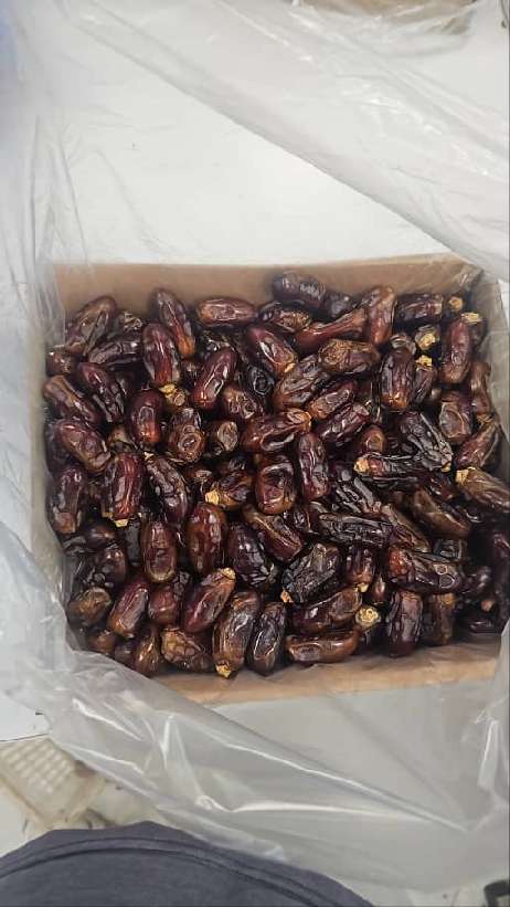 تصویر 2 از خرمای استعمران آبادان + بهترین کیفیت