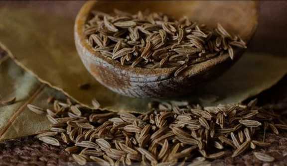 تصویر 5 از زیره سیاه اقتصادی درجه‌ دو