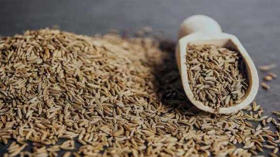 تصویر 4 از زیره کوهی صادراتی خوش‌ طعم