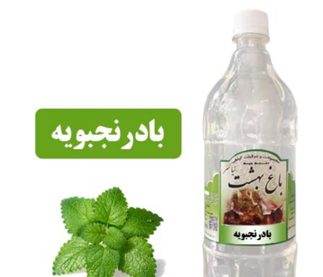 تصویر 3 از قیمت خرید عرق بادرنجبویه + قیمت مناسب