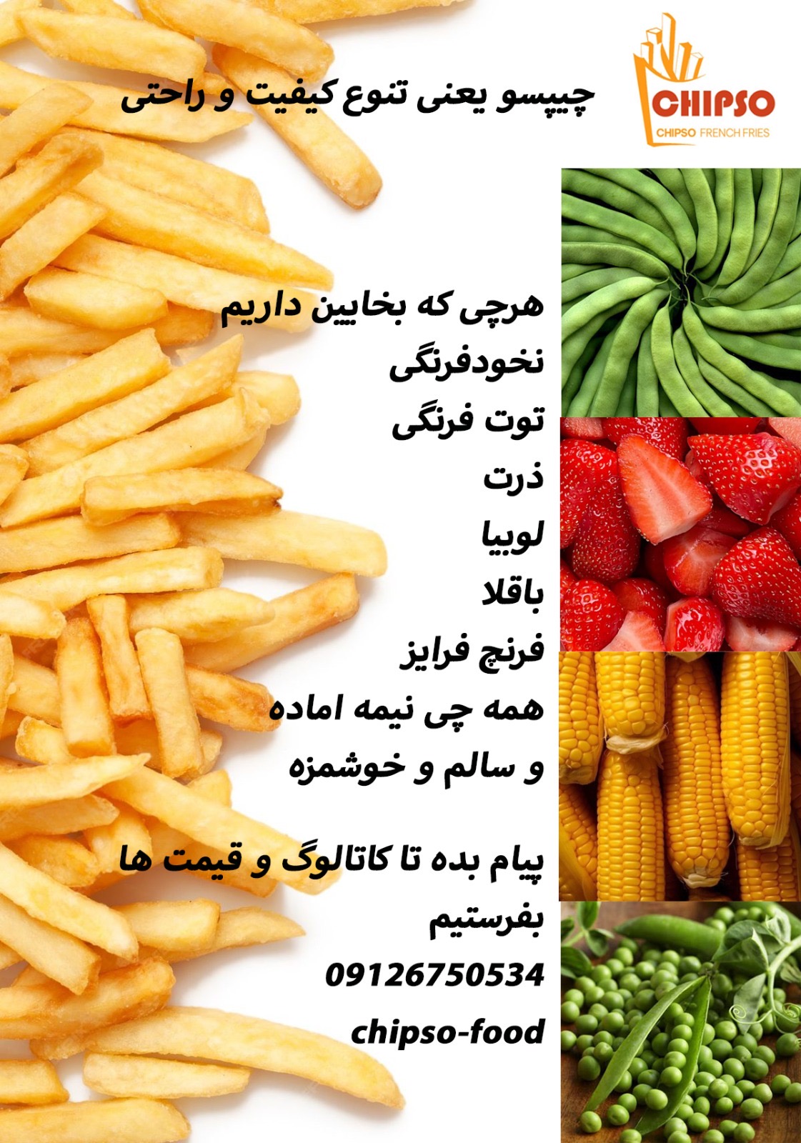 قیمت باقلا