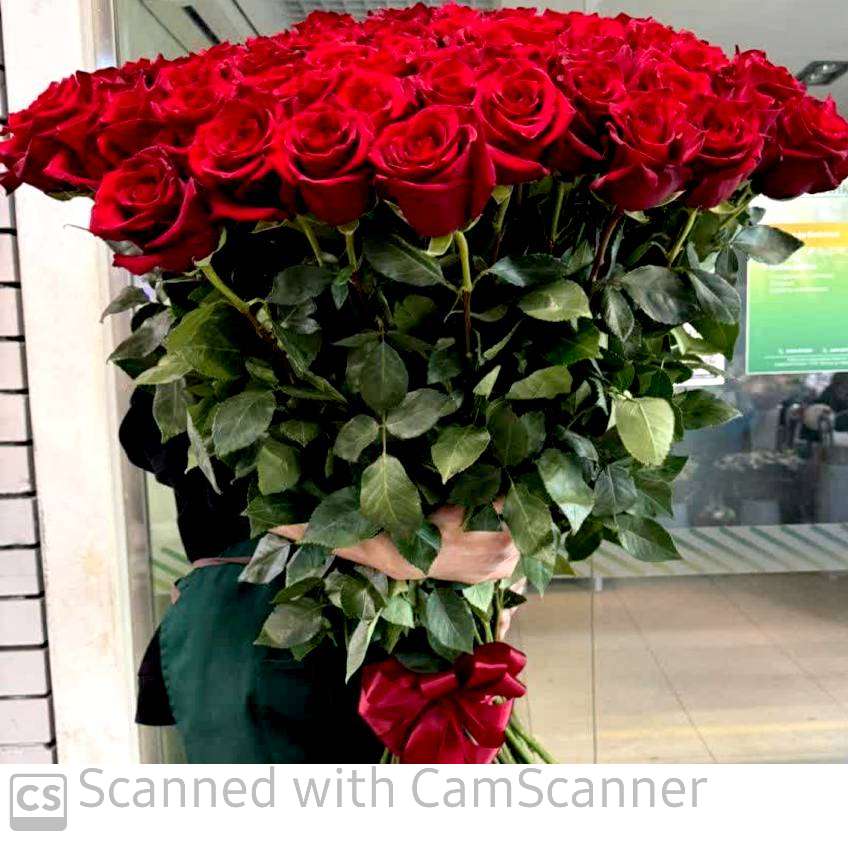تصویر 4 از خرید و قیمت گل شاخه‌ بریده رز قرمز