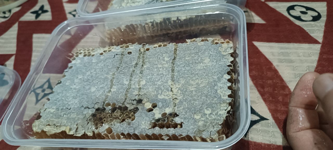 تصویر 4 از عسل طبیعی دشت مغان و اردبیل