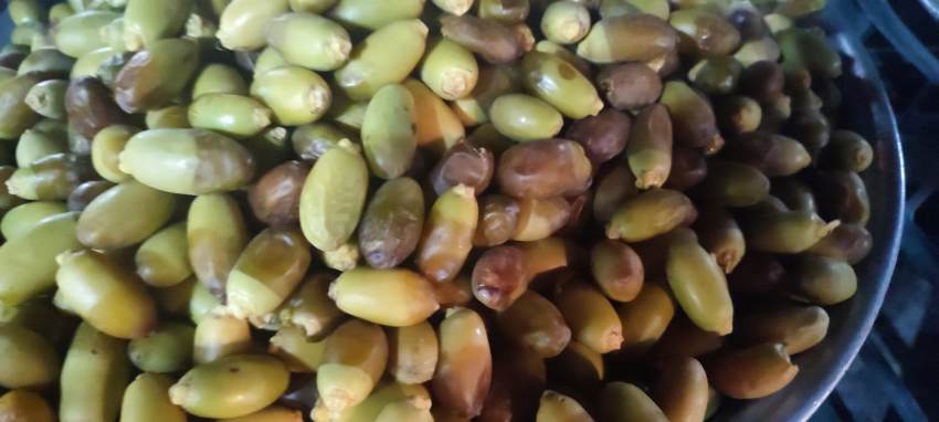تصویر 3 از قیمت رطب و خارک استعمران