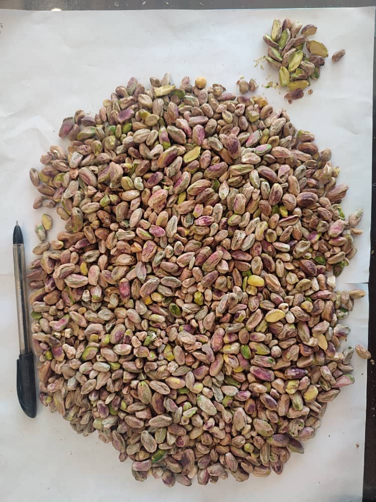 مغز پسته اکبری درجه یک