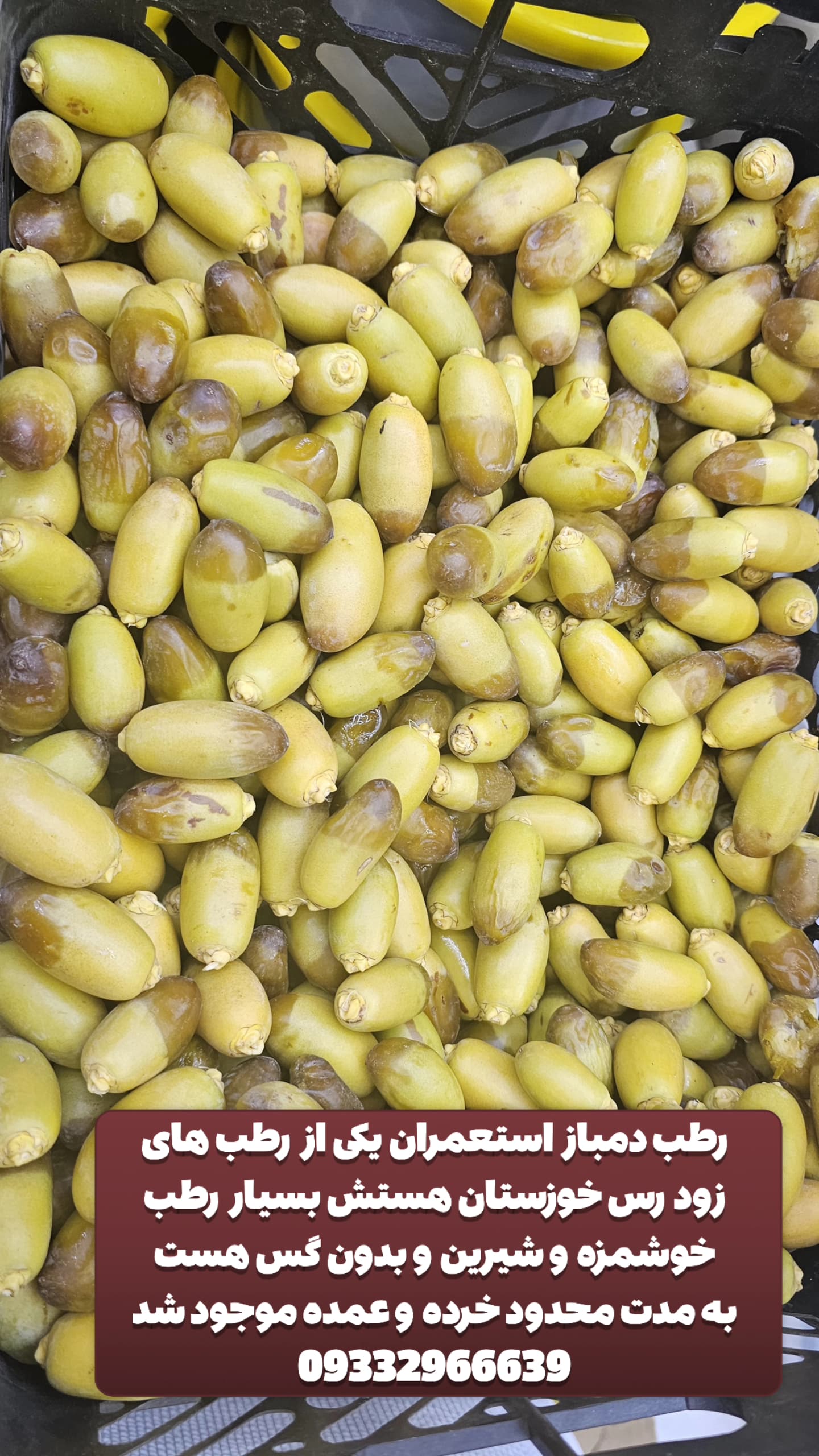 تصویر 1 از قیمت مناسب رطب صادراتی