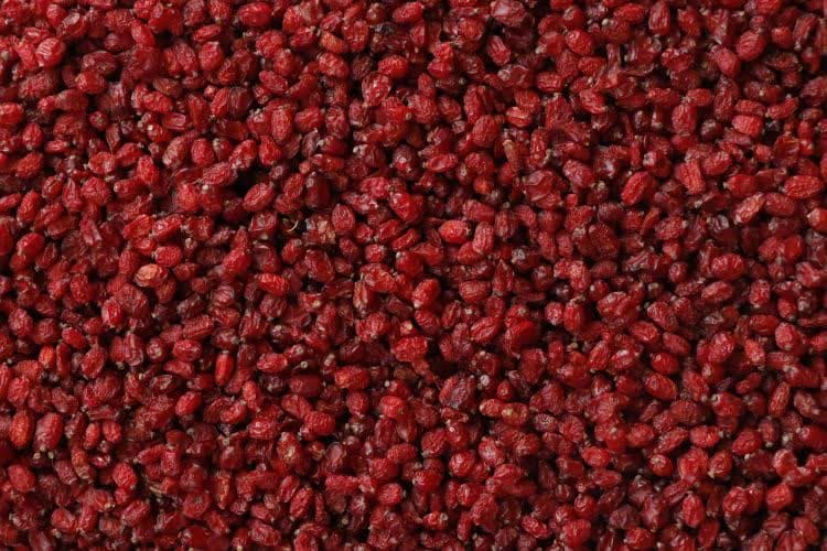 خرید عمده زرشک پفکی مشهد قیمت رقابتی ویژه تاجران و عمده‌فروشان