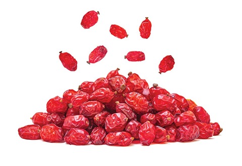 زرشک بی واسطه برای عمده فروشان