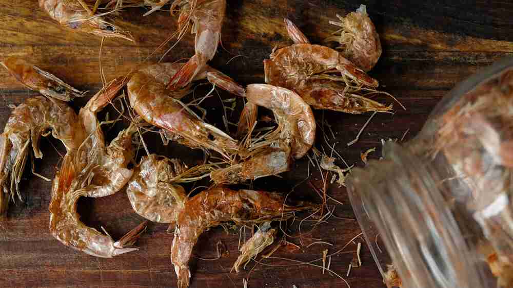 تصویر 1 از میگو قهوه ای جنوب + قیمت خرید عالی