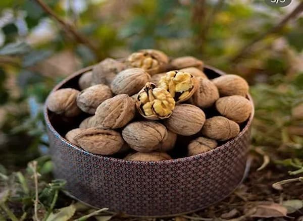 تصویر 1 از مغز گردوی صادراتی اسکو آذربایجان