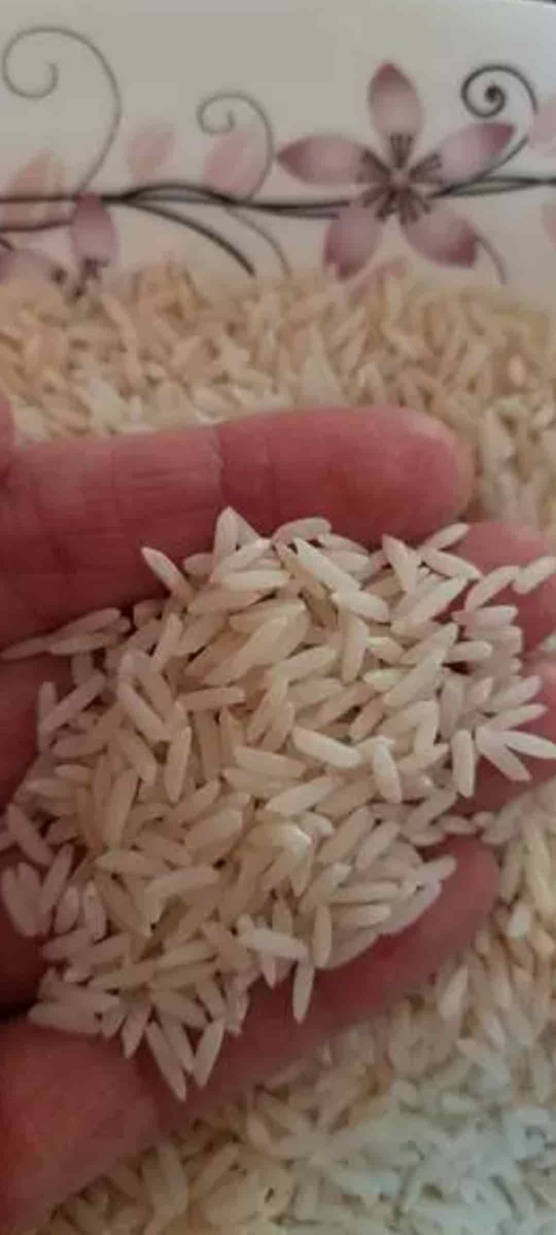 تصویر 3 از برنج هندی ۱۱۲۱ شکوه