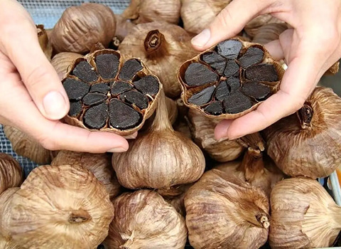 فروش سیر سیاه هندی