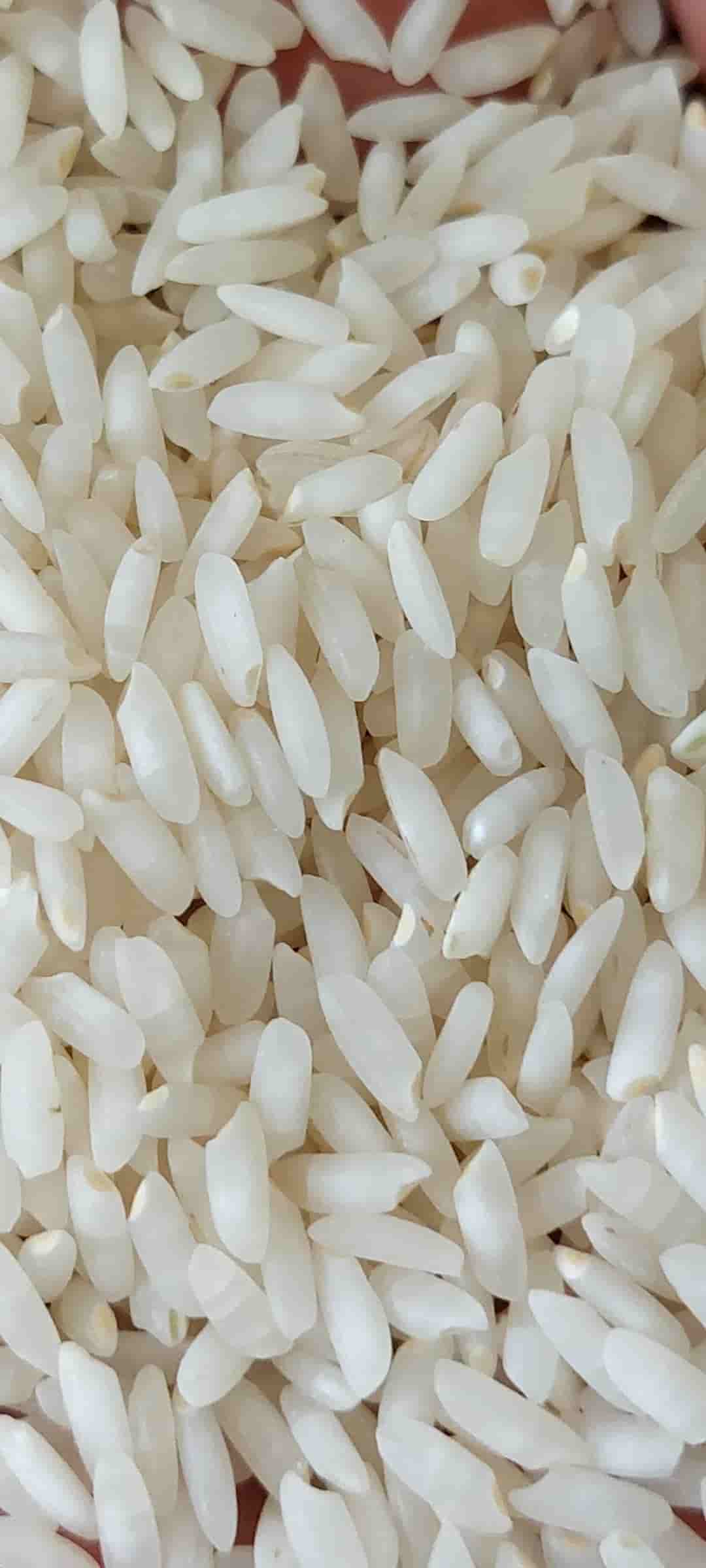 تصویر 4 از قیمت برنج کامفیروز عطری طبیعی و بی‌نظیر