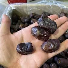 فروش خرمای مضافتی صادراتی بم