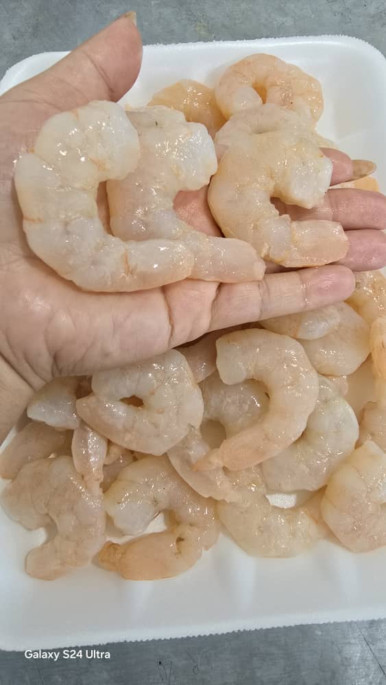 تصویر 1 از میگو صورتی بوشهر