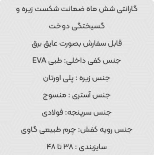 تصویر 1 از پوتین ایمنی آرتا