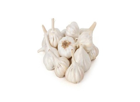 تصویر 4 از قیمت خرید سیر تازه خشک + فروش ویژه