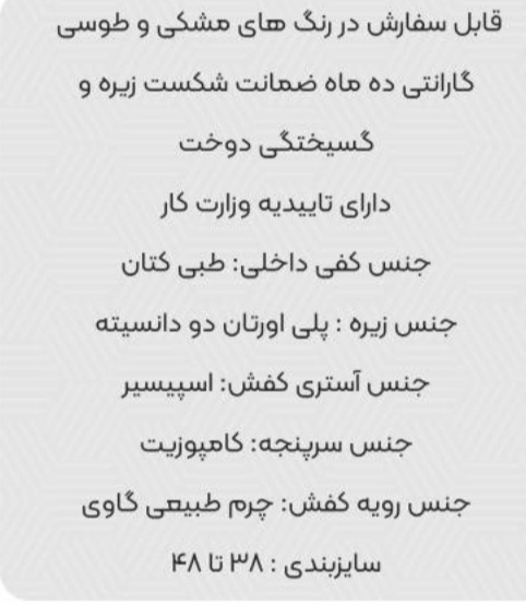 تصویر 1 از کفش ایمنی رایکا