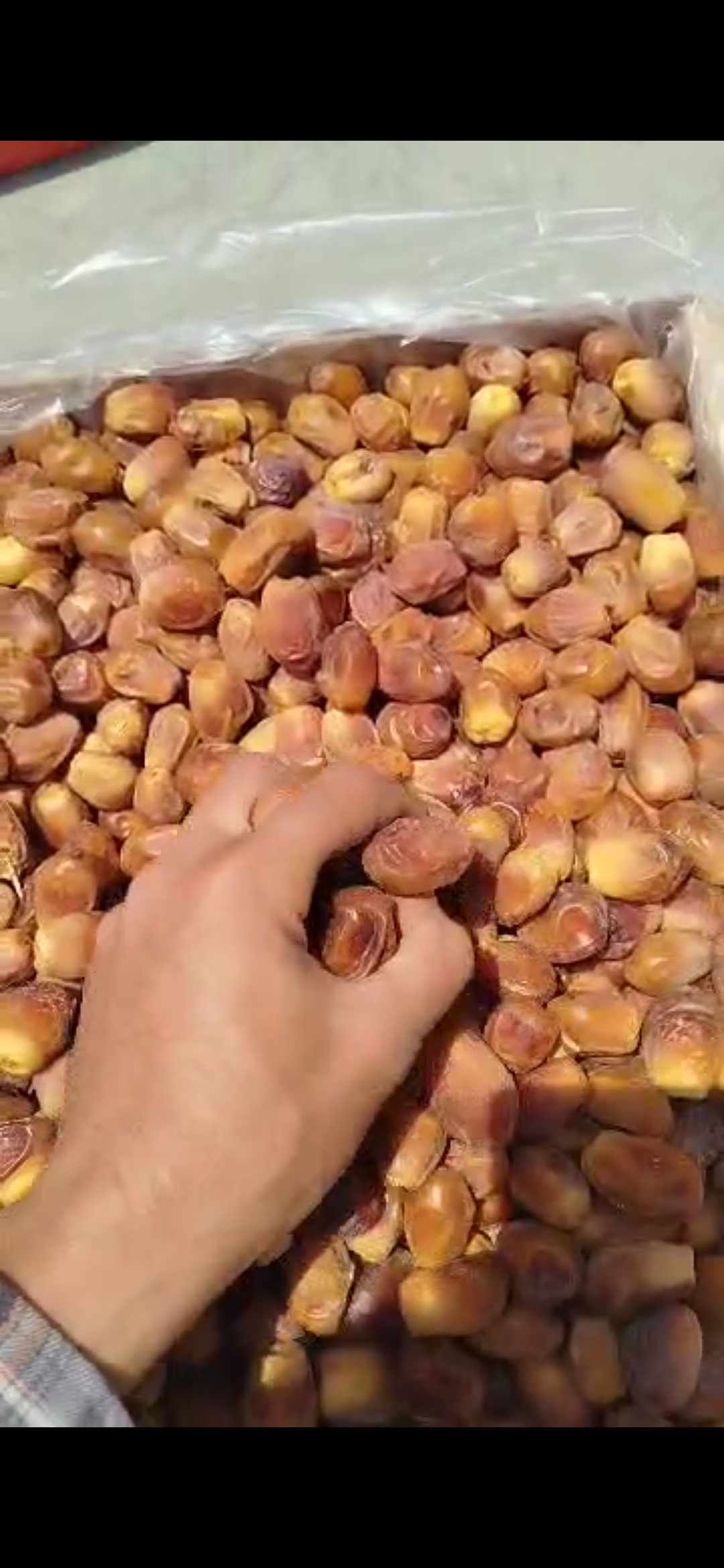 تصویر 1 از خرما زاهدی لوکس + قیمت بسیار مناسب