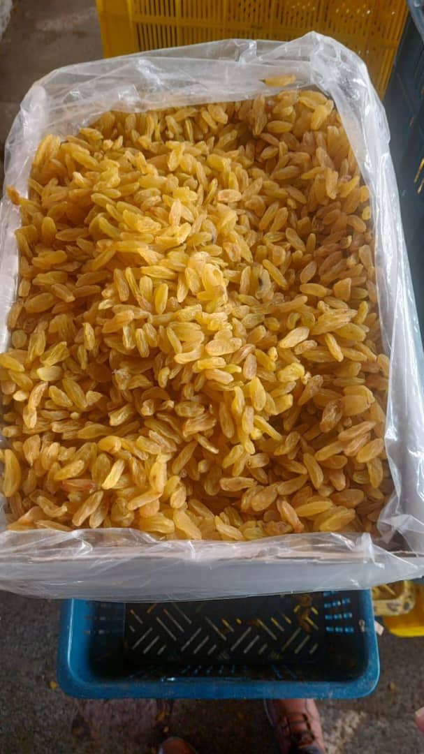 کشمش طلایی کارتنی  درجه یک