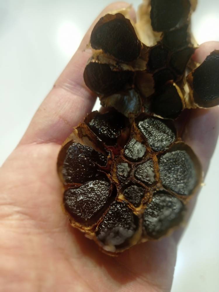 سیر سیاه فرآوری شده OAB فرآوری شده بهداشتی مطابق استاندارد های بین‌ المللی