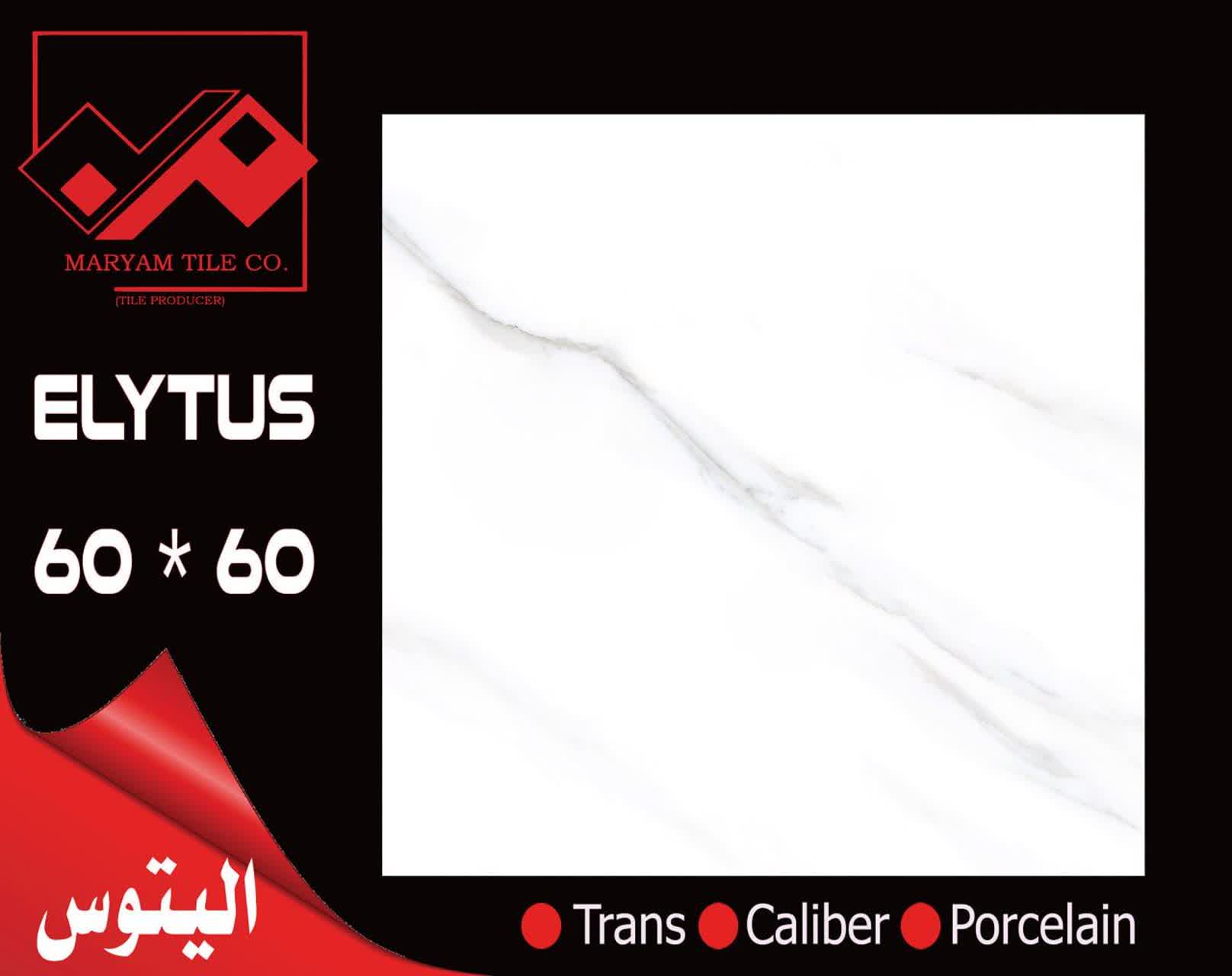 تصویر 1 از قیمت سرامیک 60 × 60 براق کف + عمده